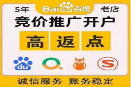 搜索开户返点案例分享：如何赚取丰厚回报